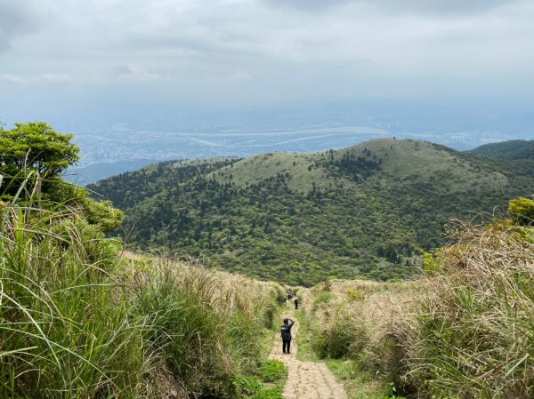 20230404大屯主峰-連峰步道2094486