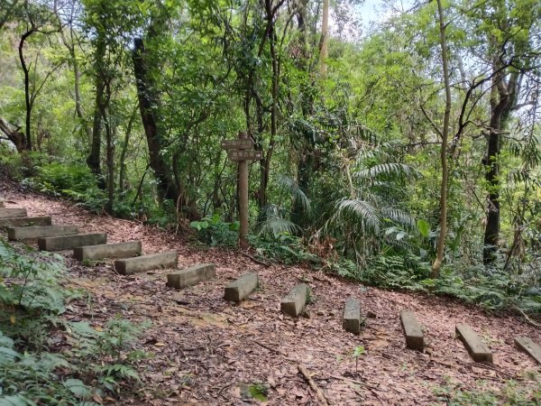 瑞芳區過港山+四腳亭砲台+深奧砲台山P字走2803750