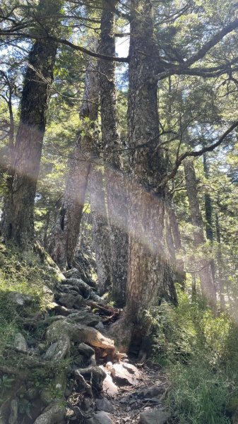 北ㄧ段-審馬陣-南湖北山-南湖北峰-南湖大山-南湖東峰2859119