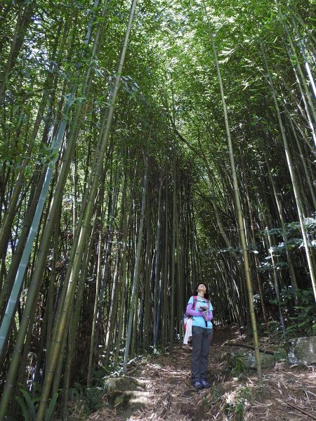 20180609望美山-瓊山(獵人古道)348732