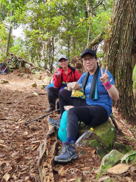 112/2/11芝生毛台山、屯野生炮台2148091