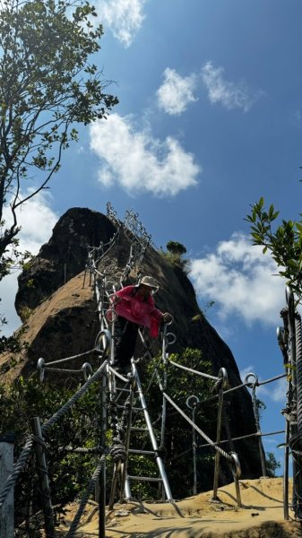孝子山、普陀山、慈母峰賞鹿子野百合O走2592966