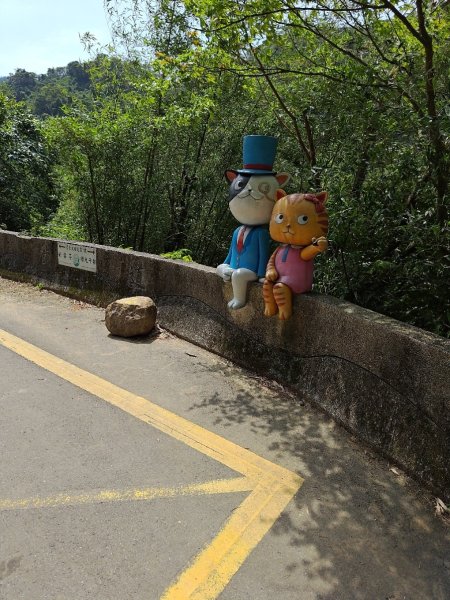 臺北大縱走第七段 世界山莊至飛龍步道政大後山2753464