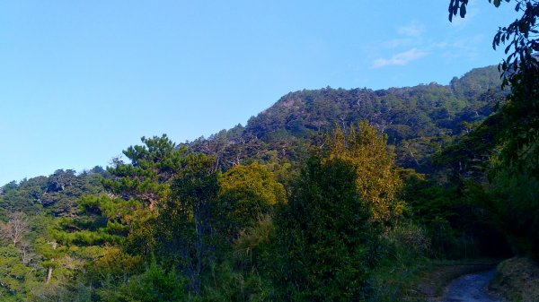 能高越嶺古道1305418