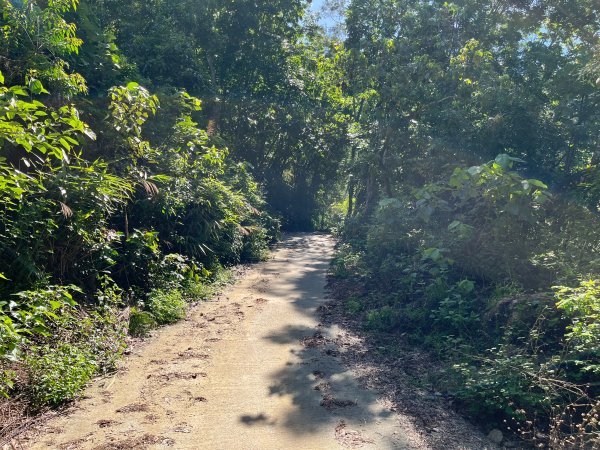 戶亞宇山基點峰-戶亞宇山主峰 2025.6.152815038