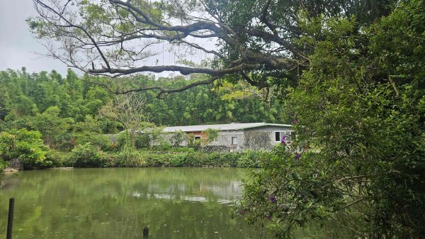 20250719遠景古道-雞母嶺古道(雞母嶺街-三叉港-土地公嶺山-雙澳崙)2841149