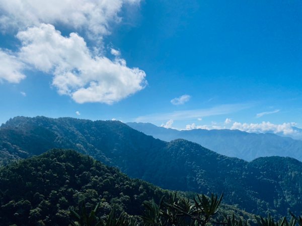 鳶嘴山-稍來山O型縱走(中級山 / 小百岳) 刺激攀岩。山嵐繚繞。傳神小象。杉樹林群。2583512