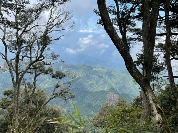 小百岳(31)-鵝公髻山-202204051669088