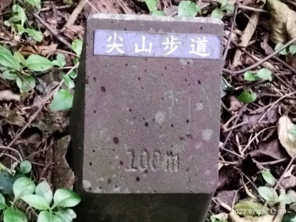 觀音山、尖山（占山）登山步道2233745