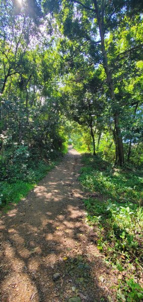 2023-10-09尾寮山登山步道2309523