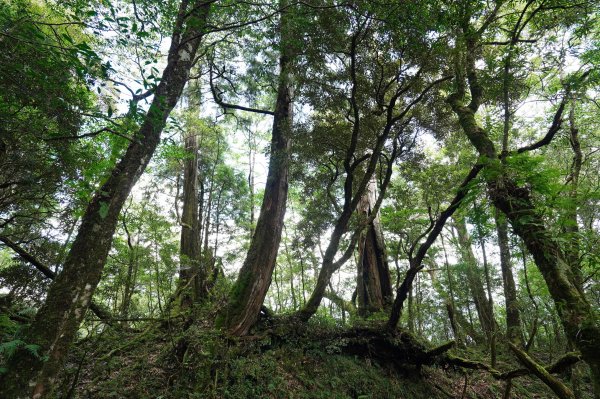 新北 烏來 山車廣山、檜山2567390