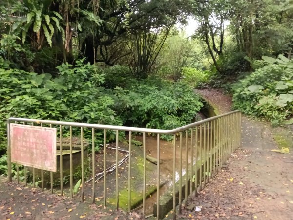 基隆市總督府(嶺)步(古)道-五坑山-五坑湖3038917