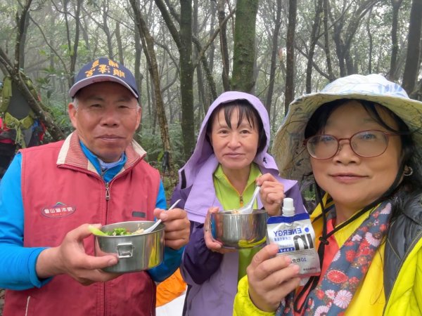 台北縱走第四段訪雙溪山 梅花山與西峰南峰西南峰 碧山3012810