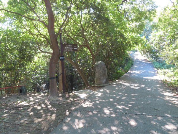 彰化桃源里森林步道+龍鳳谷森林步道2696107