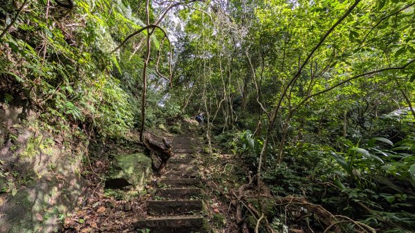 114.11.15平溪小黃山段-望古瀑布段之旅2937791