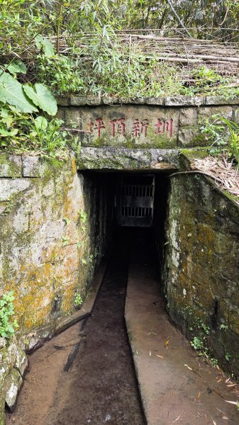 即將春季的百花齊放鵝尾山串行古圳道及平菁街42巷賞櫻健行O型走2988699