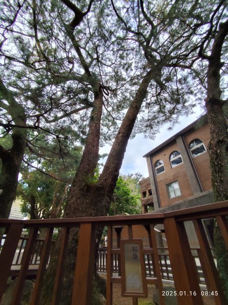 4-1 國立臺灣大學校園巡禮2691876