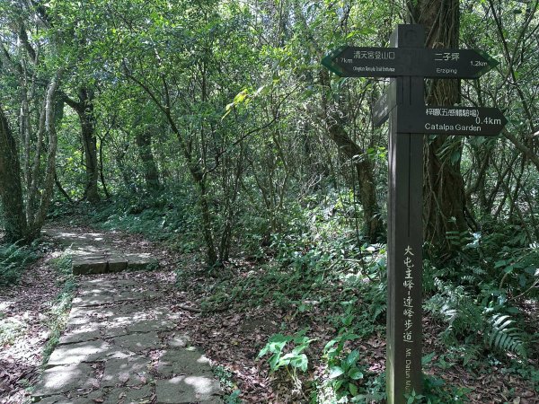 台北大縱走第一段2766812