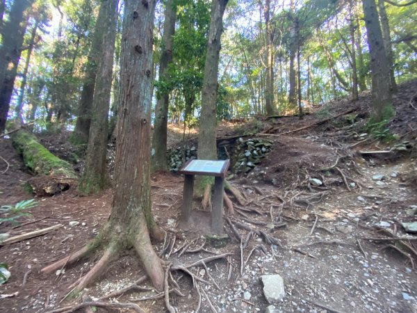 谷關七熊-馬崙山封面