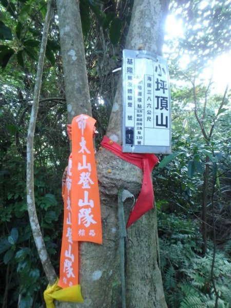 1070602小坪頂山3100125