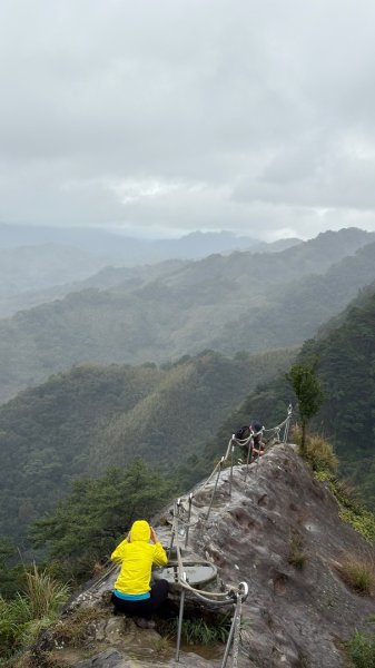 迎新（2026元旦2975596