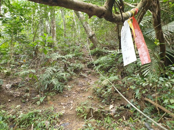 水寨下古道帽盒東山蕃子寮山1620742