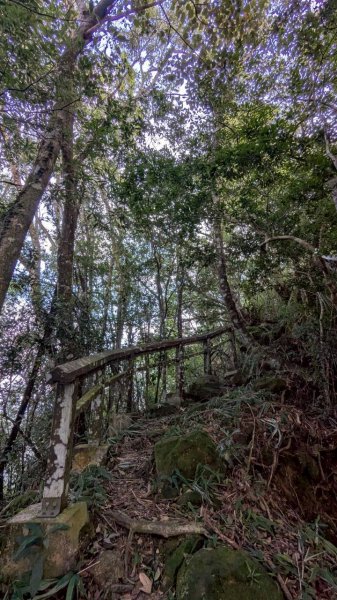 九份二山步道2861234