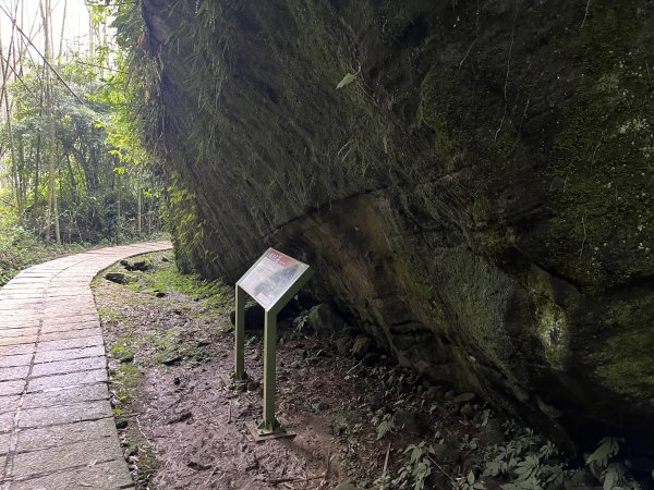 [嘉遊好步道．來嘉走走-04/10] 2024_1011 阿里山頂湖步道2624697