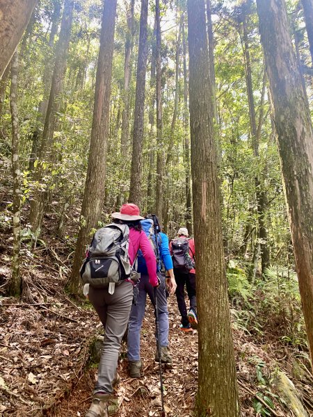 醜崠山納涼趣    2024/6/232534849