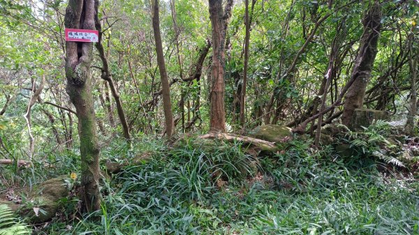 失敗的七百縱走2891138