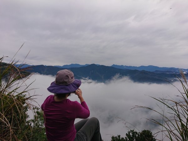 橫龍山、騰龍山（橫龍古道）1544730