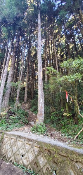 2023-07-08三星山登山步道2212421