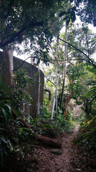 蘭潭後山步道、紅毛埤山1271926