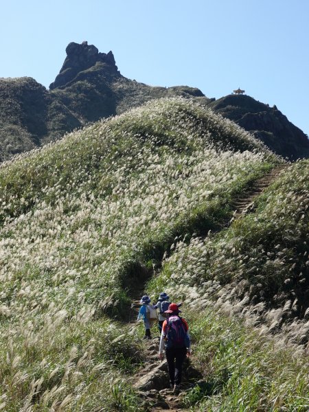 阿興阿賢秋芒宅急便（無耳茶壺山、半屏山、燦光寮山）+哈巴狗岩738418