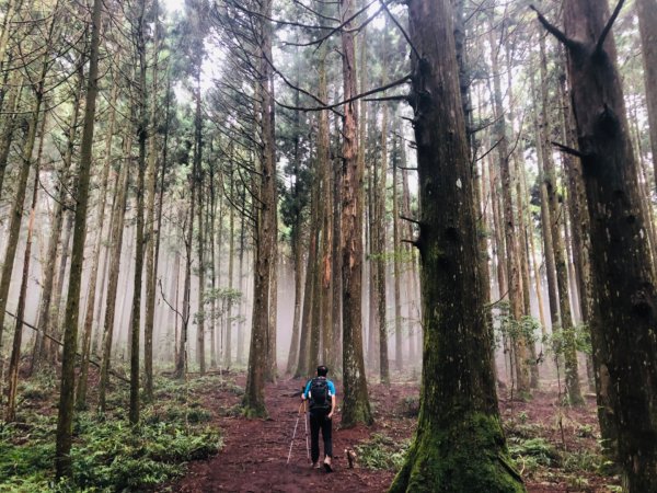 1090725高台山+美人湯1045479