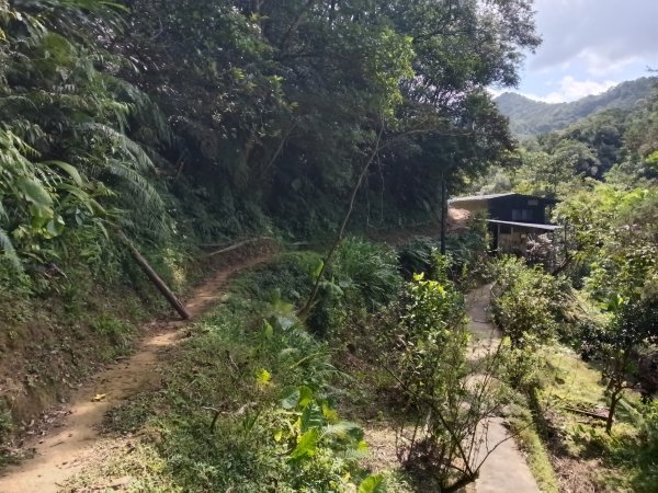 平溪區大華步道+幼坑古道+幼坑崙(大華車站-三貂嶺車站)2925261