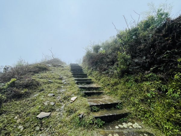 淒風苦雨的灣坑頭山2081170