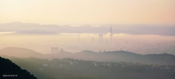 陽明山趴趴走 12/102958566