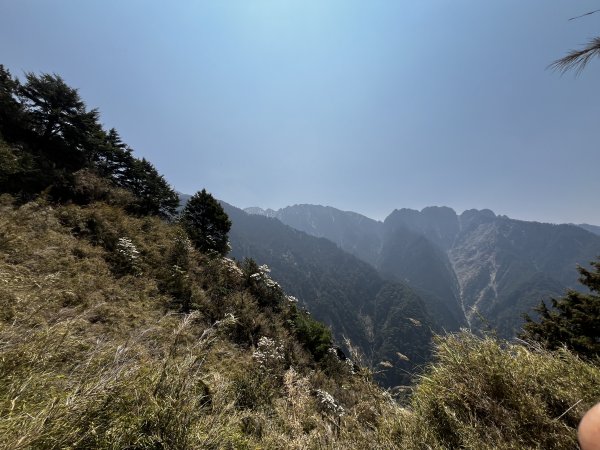 玉山西峰3039819