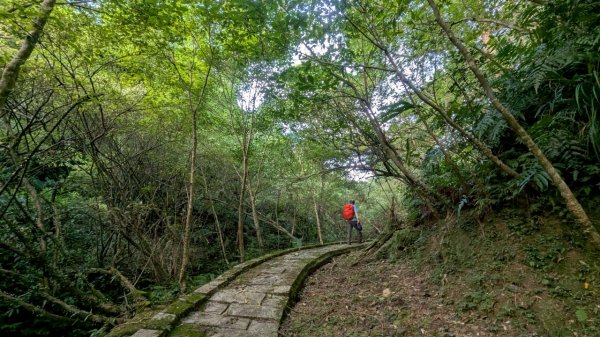 114.06.28內平林山-番子坑山-平湖森林遊樂區之O型2824293