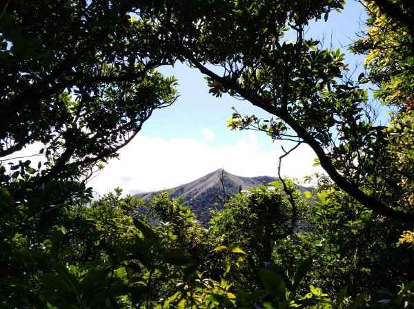 大屯山系｜漫步枕頭山。二子坪漫漫而行665904