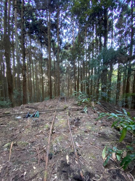 加里山前山、鐵道遺跡、索道、香菇寮2052748