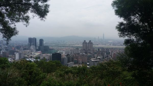 20180818 劍潭山389851