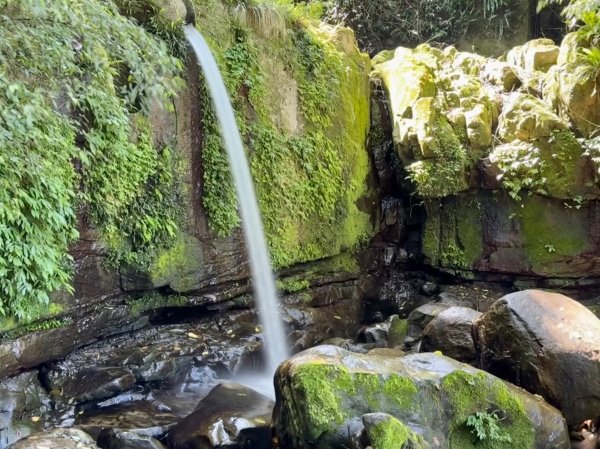 台北縱走第七段 訪獅球山 樟湖山 樟山 炮子林山3016869