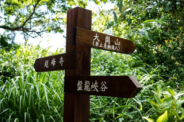 大崗山步道｜小百岳2812774