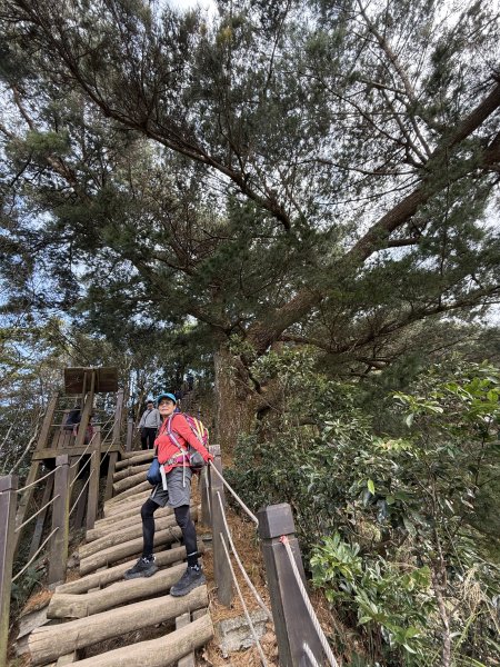 頭嵙山二嵙山O形2690493