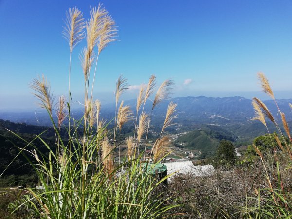 《楓》給您看 〜 馬那邦山469441