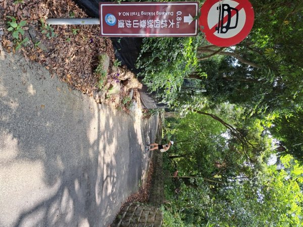 台中大坑第4,9,10號步道3120335