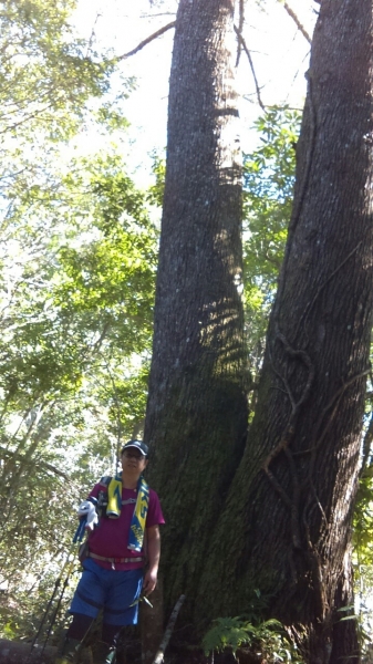 20151213尖石鄉屯野台山石麻達山27961