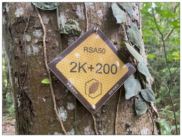 關刀山 (南入口)、關刀山西北峰 連走2804121